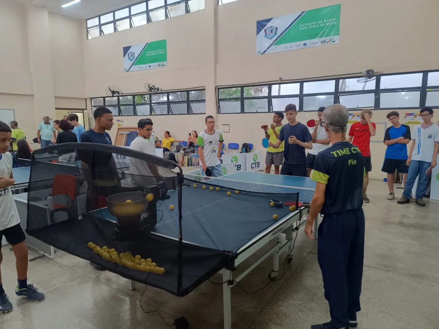 Projetos Escolares